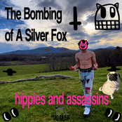 The Bombing Of A Silver Fox