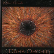 dark orchid