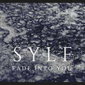Fade into You