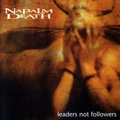 Politicians by Napalm Death