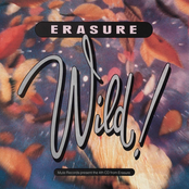 How Many Times? by Erasure