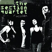 The Nurse Who Loved Me by The Section Quartet