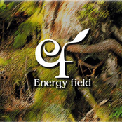 Energy Field