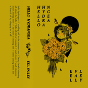 Hello Hydrangea - Single