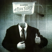 Goodbye Mr. Pink Floyd! (live at Quebec '87)
