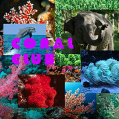 Coral Club