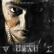 Zwiespalt (Grau)