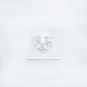 A Journey Through the Mind of a Non Believer