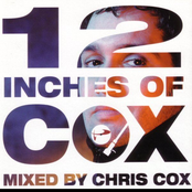 12 Inches Of Cox