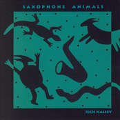 Saxophone Animals