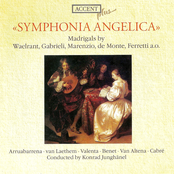 Vocal Music - Waelrant, H. / Verdonck, C. / Marenzio, L. / Monte, P. / Macque, G. / Conversi, G. / Gastoldi, G.G. / Ferretti, G. (Madrigals)