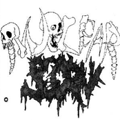 Nuclear Scorn