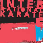 Only Good Will Come Of This by International Karate