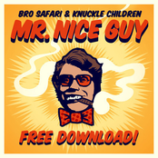 Mr. Nice Guy