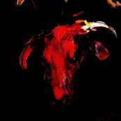 Sleeping Bulls (self-titled)