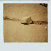 Polaroid