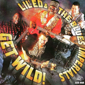 Once In A Lifetime by Lil' Ed & The Blues Imperials