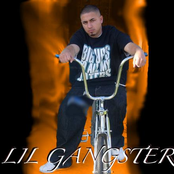 lil gangster