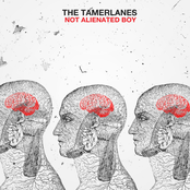 Not Alienated Boy (Single)