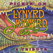 Pickin' on Lynyrd Skynyrd: A Tribute