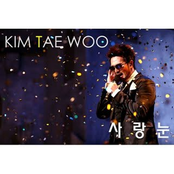 사랑눈