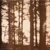 The Wind Is Strong...