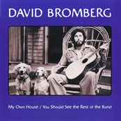 Cocaine Blues by David Bromberg