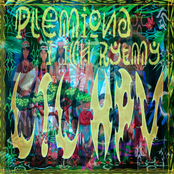 Plemiona I Ich Rytmy
