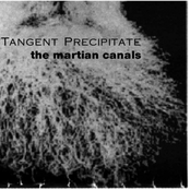the martian canals