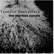 Stolen Data by Tangent Precipitate