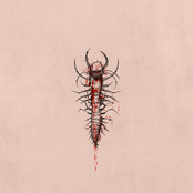 Сколопендра