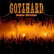 Acoustic Medley 2010 by Gotthard