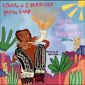 Lean Into The Sunshine