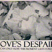 love's despair