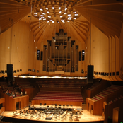 追着钱的老鼠掉进了泥坑里