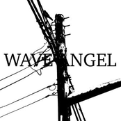 WAVE ANGEL