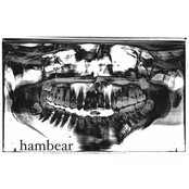mandible