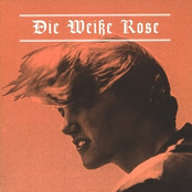 die weiße rose