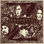 Little Things by Zoophyte