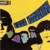 Fuzz Illusions, Vol. 1