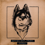 Convenient, Trash.: Pooch