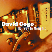 David Gogo: Halfway To Memphis