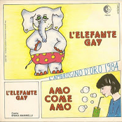L'Elefante Gay