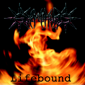 Lifebound