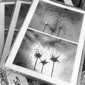 Light Breaks Through The Slow Wear of Time