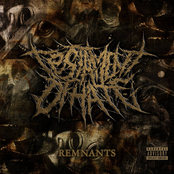 REMNANTS