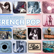 Beginner's Guide To French Pop