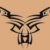 LOW CEILING live act