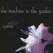 Open by The Machine In The Garden