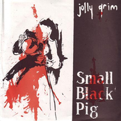 small black pig